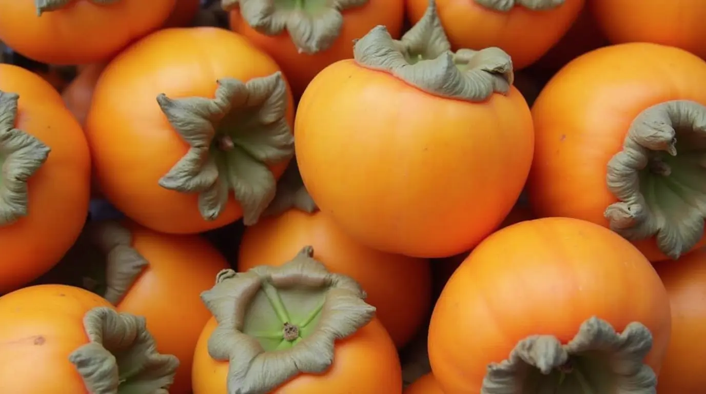 Persimmons fruit