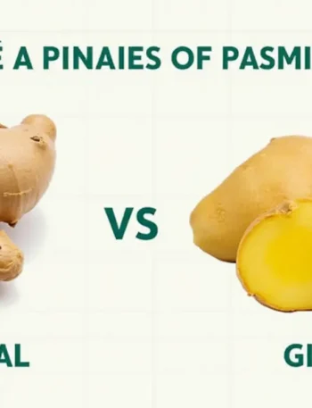 galangal Spices