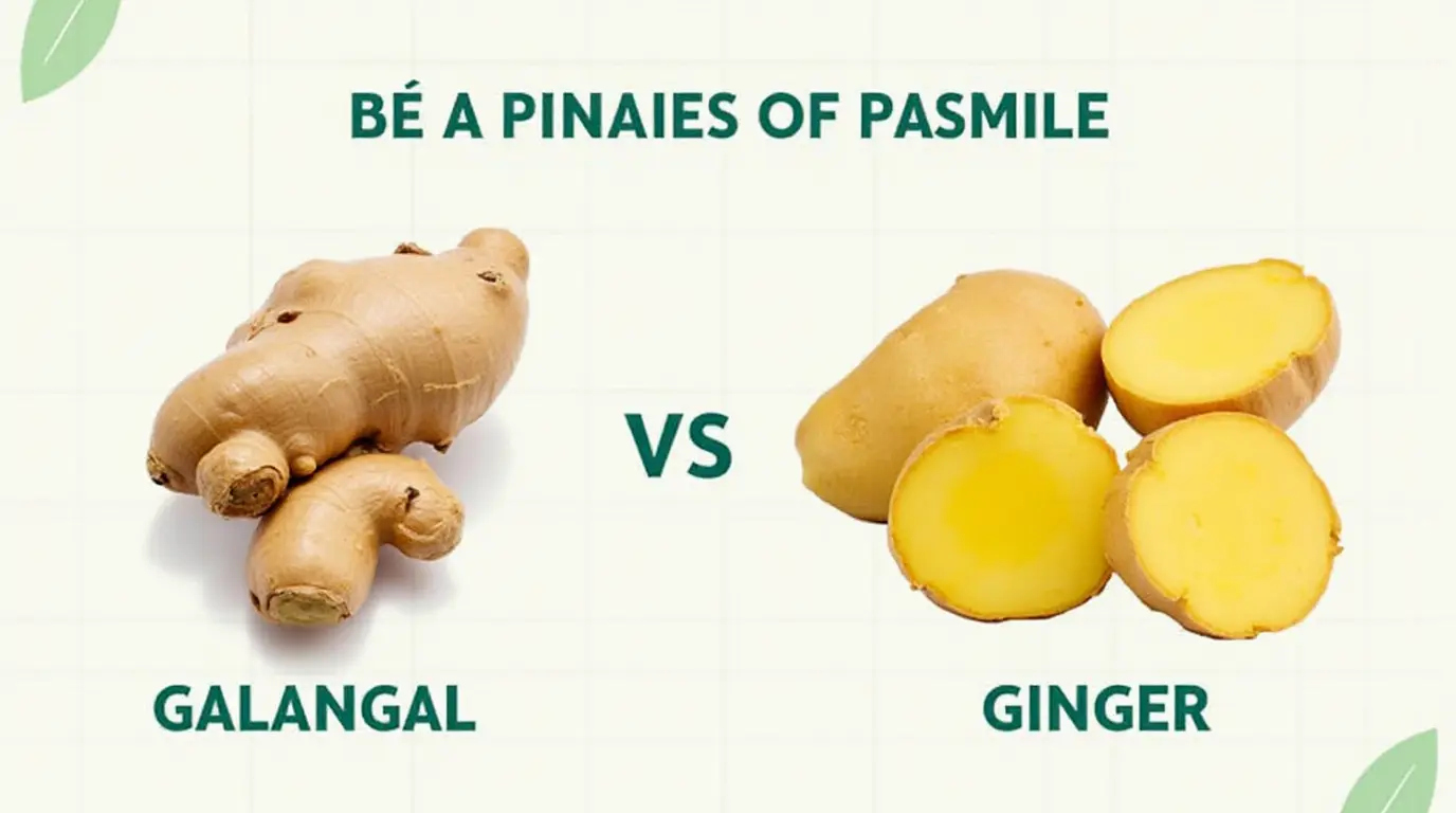 galangal Spices