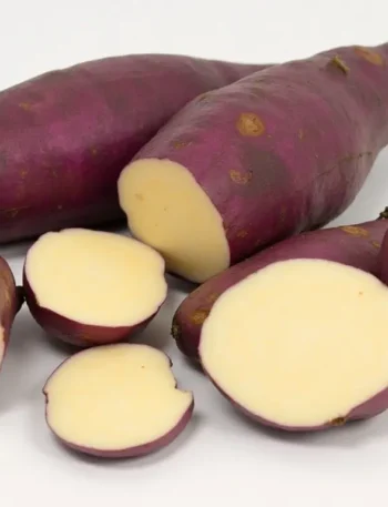 murasaki sweet potato