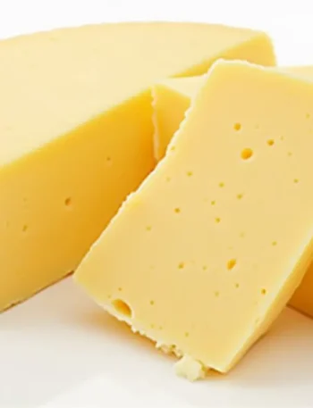 fontina cheese