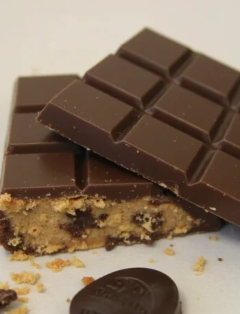 dandelion chocolate