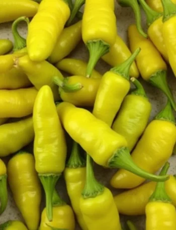 pepperoncini